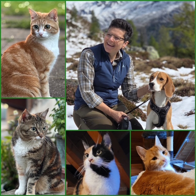 Start page image for sales-partner's sales-channel